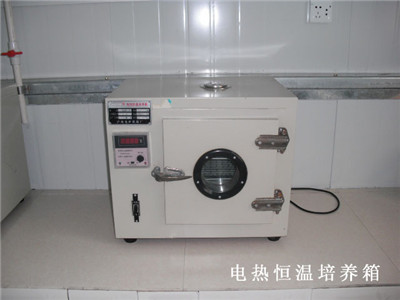 電熱恒溫培養箱